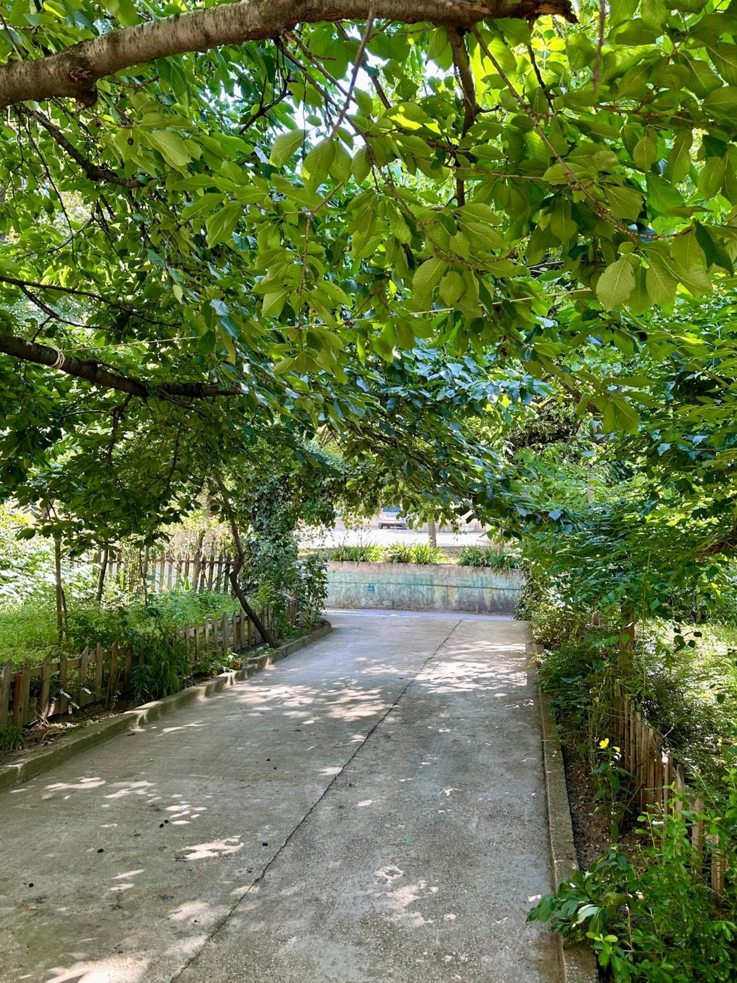 ポグラデツJea Houseアパートメント エクステリア 写真